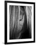 Shy Crop-Aledanda-Framed Art Print