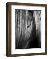 Shy Crop-Aledanda-Framed Art Print