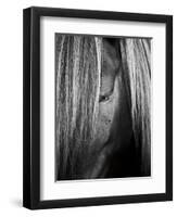 Shy Crop-Aledanda-Framed Art Print