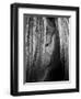 Shy Crop-Aledanda-Framed Art Print