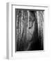 Shy Crop-Aledanda-Framed Art Print