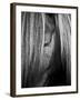 Shy Crop-Aledanda-Framed Art Print