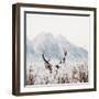 Shy Deer-Treechild-Framed Photographic Print