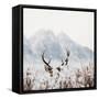 Shy Deer-Treechild-Framed Stretched Canvas