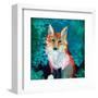 Shy Fox-Jennifer Lommers-Framed Art Print