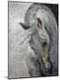 Shy Grey No Tear-Albena Hristova-Mounted Art Print
