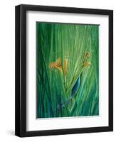 Shy Little Siren-Cindy Thornton-Framed Art Print