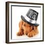 Shy Puppy Wearing a Happy New Year Top Hat-Hannamariah-Framed Photographic Print