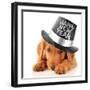 Shy Puppy Wearing a Happy New Year Top Hat-Hannamariah-Framed Photographic Print