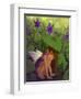 Shy Violet-Dalliann-Framed Giclee Print