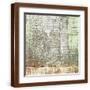 Brown Frame