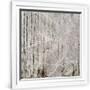 Gramercy White