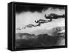 Siai Marchetti Italian Aeroplanes Used During World War Two-null-Framed Stretched Canvas