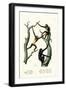 Siamang, 1824-Karl Joseph Brodtmann-Framed Giclee Print