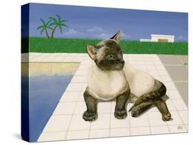 Siamese cat by a swimming pool-Joan Freestone-Stretched Canvas