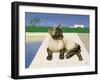 Siamese cat by a swimming pool-Joan Freestone-Framed Giclee Print