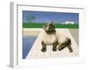 Siamese cat by a swimming pool-Joan Freestone-Framed Giclee Print