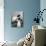 Siamese Cat Gets Cream-null-Photographic Print displayed on a wall