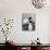 Siamese Cat Gets Cream-null-Photographic Print displayed on a wall