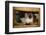 Siamese Cat on Chair-DLILLC-Framed Photographic Print