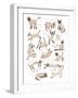 Siamese Cat Print-Hanna Melin-Framed Giclee Print