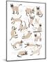 Siamese Cat Print-Hanna Melin-Mounted Giclee Print