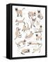 Siamese Cat Print-Hanna Melin-Framed Stretched Canvas
