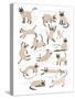 Siamese Cat Print-Hanna Melin-Stretched Canvas