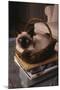 Siamese Cat Sitting in Basket on Coffee Table-DLILLC-Mounted Premium Photographic Print