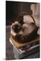 Siamese Cat Sitting in Basket on Coffee Table-DLILLC-Mounted Premium Photographic Print