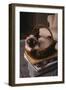 Siamese Cat Sitting in Basket on Coffee Table-DLILLC-Framed Photographic Print