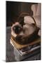 Siamese Cat Sitting in Basket on Coffee Table-DLILLC-Mounted Photographic Print