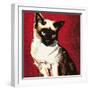 Siamese Cat-McConnell-Framed Premium Giclee Print