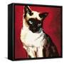 Siamese Cat-McConnell-Framed Stretched Canvas