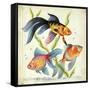 Siamese Fighting Fish Betta Splendens-null-Framed Stretched Canvas