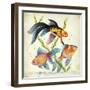 Siamese Fighting Fish Betta Splendens-null-Framed Giclee Print