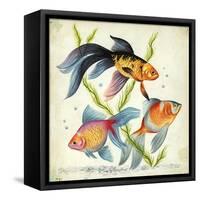 Siamese Fighting Fish Betta Splendens-null-Framed Stretched Canvas