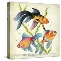 Siamese Fighting Fish Betta Splendens-null-Stretched Canvas