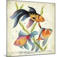 Siamese Fighting Fish Betta Splendens-null-Mounted Giclee Print