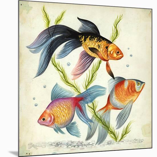 Siamese Fighting Fish Betta Splendens-null-Mounted Giclee Print