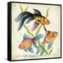 Siamese Fighting Fish Betta Splendens-null-Framed Stretched Canvas