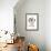 Siamese Kitten, 10 Weeks, Reaching Up-Mark Taylor-Framed Photographic Print displayed on a wall