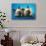 Siamese Kittens-null-Art Print displayed on a wall