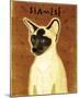 Siamese-John Golden-Mounted Giclee Print