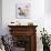 Siamese-Barbara Keith-Giclee Print displayed on a wall