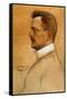 Sibelius Jean Finnish Composer-Albert Gustaf Aristides Edelfelt-Framed Stretched Canvas