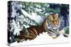 Siberian Amur Tiger Lying in Snow-null-Stretched Canvas