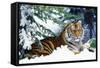 Siberian Amur Tiger Lying in Snow-null-Framed Stretched Canvas