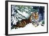 Siberian Amur Tiger Lying in Snow-null-Framed Photographic Print