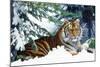 Siberian Amur Tiger Lying in Snow-null-Mounted Photographic Print